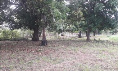 Venta de Terreno en Gorgona