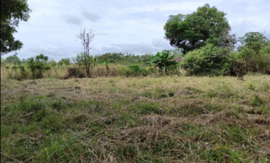 Venta de Terreno en Gorgona