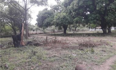 Venta de Terreno en Gorgona
