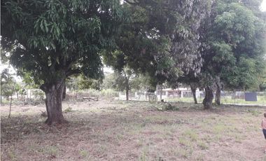 Venta de Terreno en Gorgona