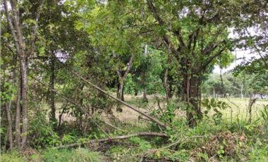 Venta de Terreno en Gorgona