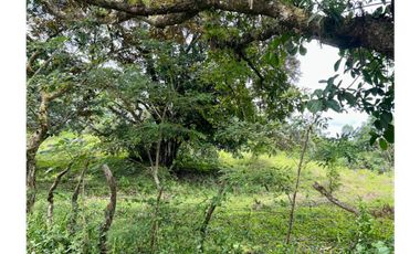 Venta de Terreno en Santa Fe, Veraguas