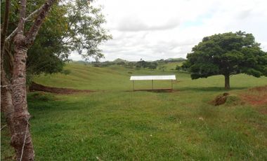 Vendo 617 Hectáreas finca nivel 1 ganadera activa JS