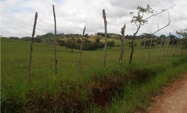 Vendo 617 Hectáreas finca nivel 1 ganadera activa JS