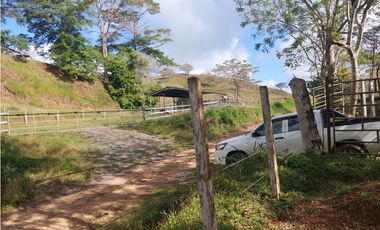 Vendo 617 Hectáreas finca nivel 1 ganadera activa JS