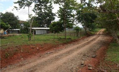 Vendo 617 Hectáreas finca nivel 1 ganadera activa JS