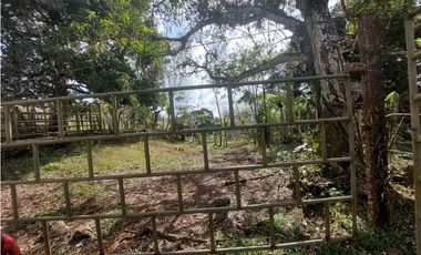 Vendo 617 Hectáreas finca nivel 1 ganadera activa JS