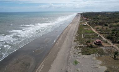 Se Venden Hectáreas en Las Tablas, Los Santos