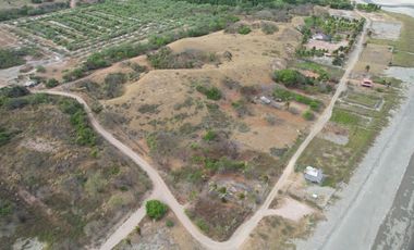 Se Venden Hectáreas en Las Tablas, Los Santos