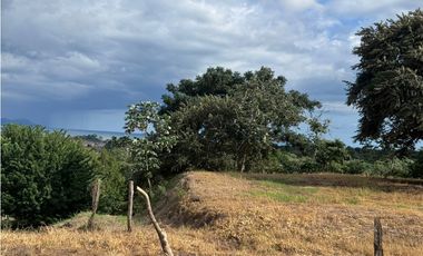 FINCA PARA URBANIZAR Y COMERCIAL EN VENTA PUERTO CAIMITO