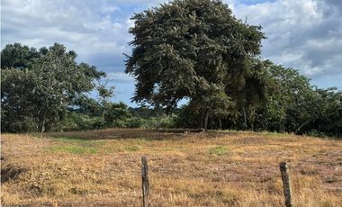 FINCA PARA URBANIZAR Y COMERCIAL EN VENTA PUERTO CAIMITO