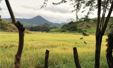 Spacious home with stunning ocean views