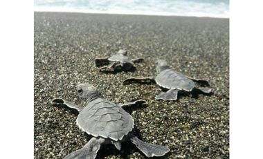 Spacious home with stunning ocean views