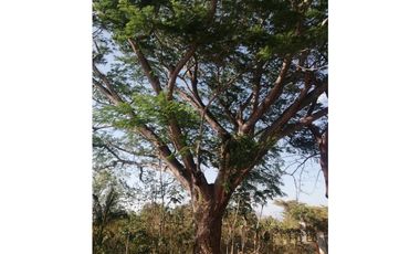 Se vende casa en  Mata Palo, San Carlos, Panamá Oeste