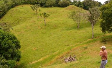 Vendo Terreno en Toabre Penonome MC