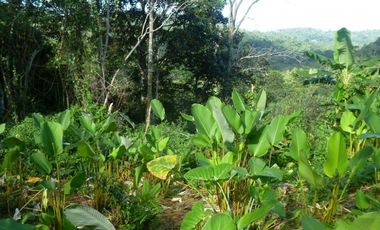 Vendo Terreno en Villalobos MC