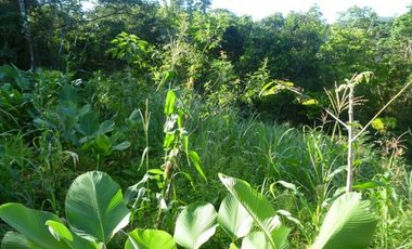 Vendo Terreno en Villalobos MC
