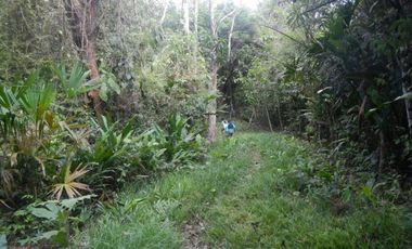 Vendo Terreno en Villalobos MC