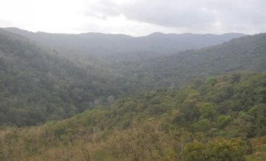 Vendo Terreno en Villalobos MC