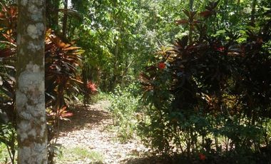 Vendo Terreno en Villalobos MC