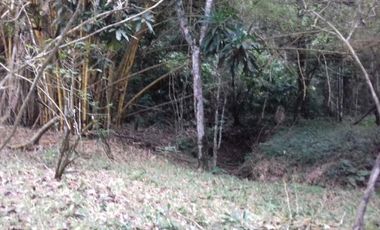 Vendo Terreno en Villalobos MC