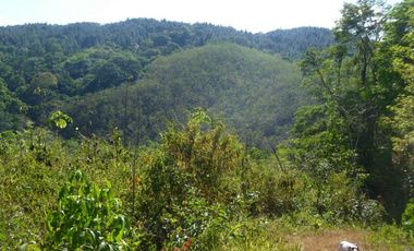 Vendo Terreno en Villalobos MC