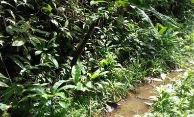 Vendo Terreno en Villalobos MC