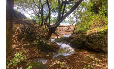 Vendo espectacular finca en Chumico. MC