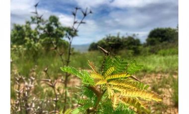 Vendo espectacular finca en Chumico. MC