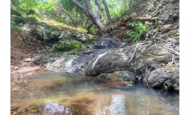 Vendo espectacular finca en Chumico. MC