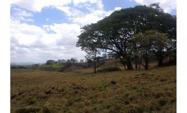 Se Vende Terreno en Playa Leona 