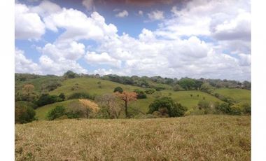 Se Vende Terreno en Playa Leona 