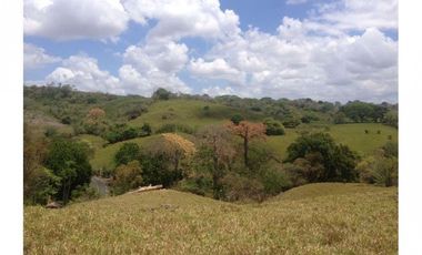 Se Vende Terreno en Playa Leona 