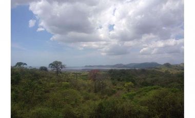 Se Vende Terreno en Playa Leona 