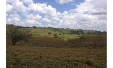 Se Vende Terreno en Playa Leona 