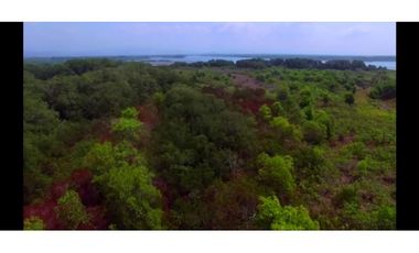 Venta de Isla en Chiriqui MC
