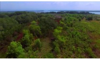 Venta de Isla en Chiriqui MC