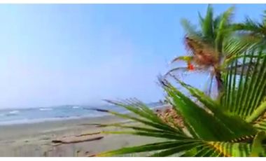Venta de Isla en Chiriqui MC