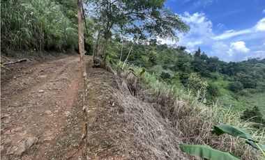 EL PEÑON