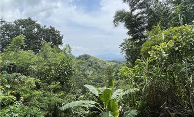 EL PEÑON