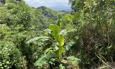 EL PEÑON