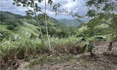 EL PEÑON
