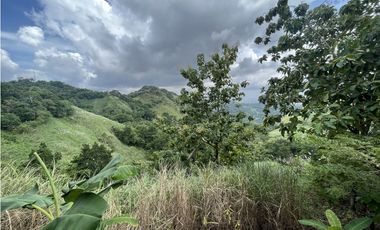 EL PEÑON