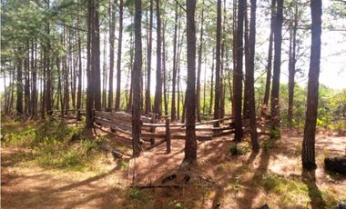 Condominios exclusivos en venta en Alto Boquete