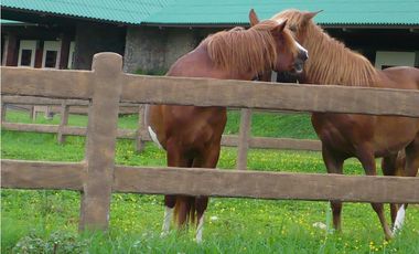 Exclusive Residential Community In Boquete