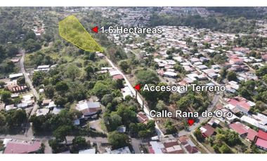 Venta de Lote en La Rana de Oro, Pedregal - Panamá