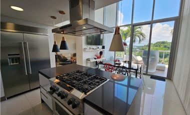 Penthouse en Venta, Panamá Pacífico