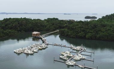 Venta de Terreno en el Pacífico Panameño, Panamá