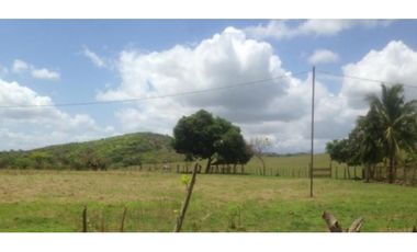 Venta de finca en Pesé, Herrera