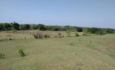 Venta de finca en Pesé, Herrera